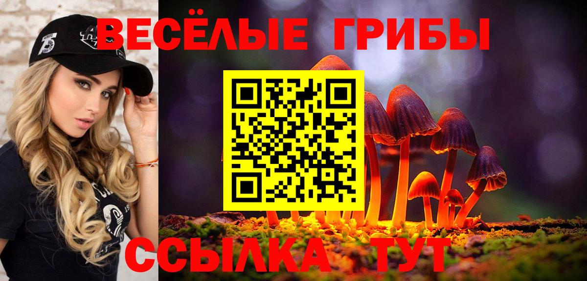 Димитровград  Галлюциногенные грибы Magic Shrooms  Вход с VPN 